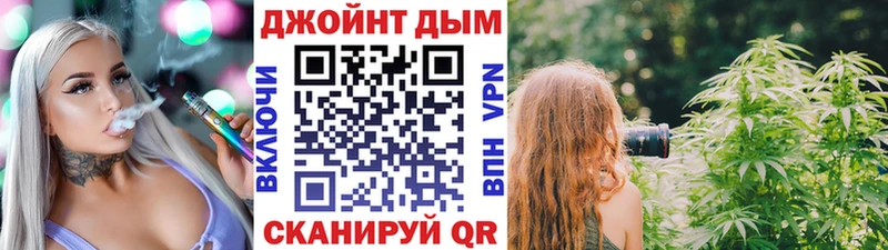 где найти   Устюжна  Бошки Шишки план 